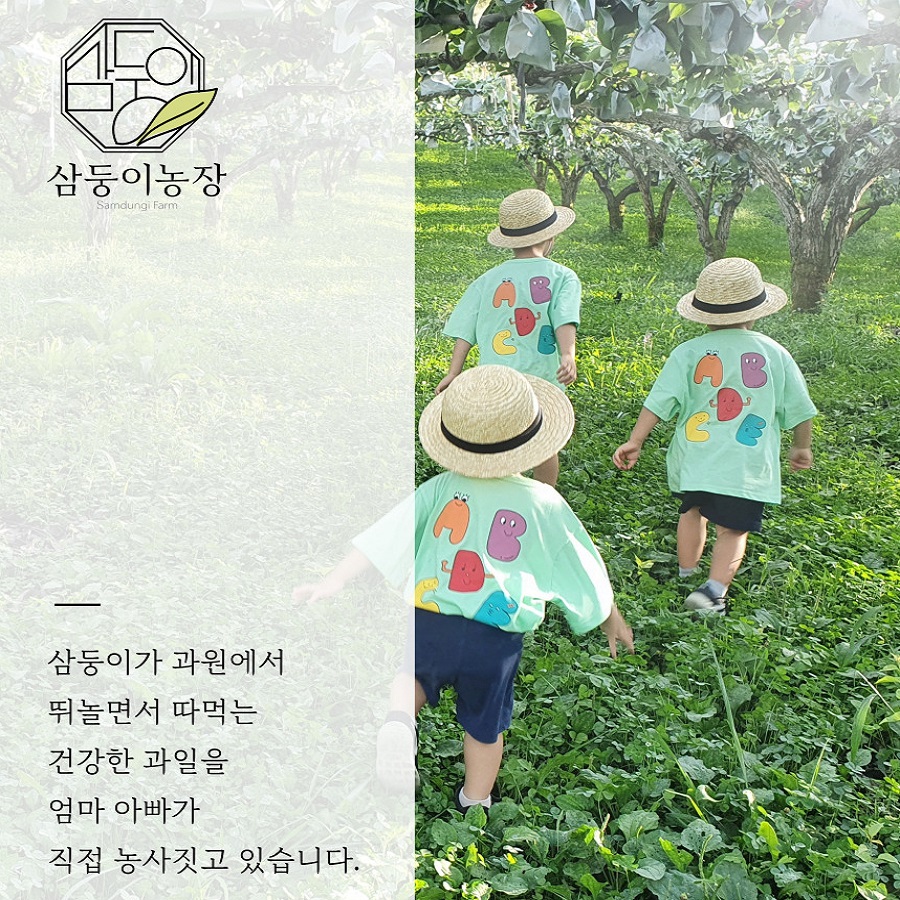 삼둥이농장 프로필 이미지