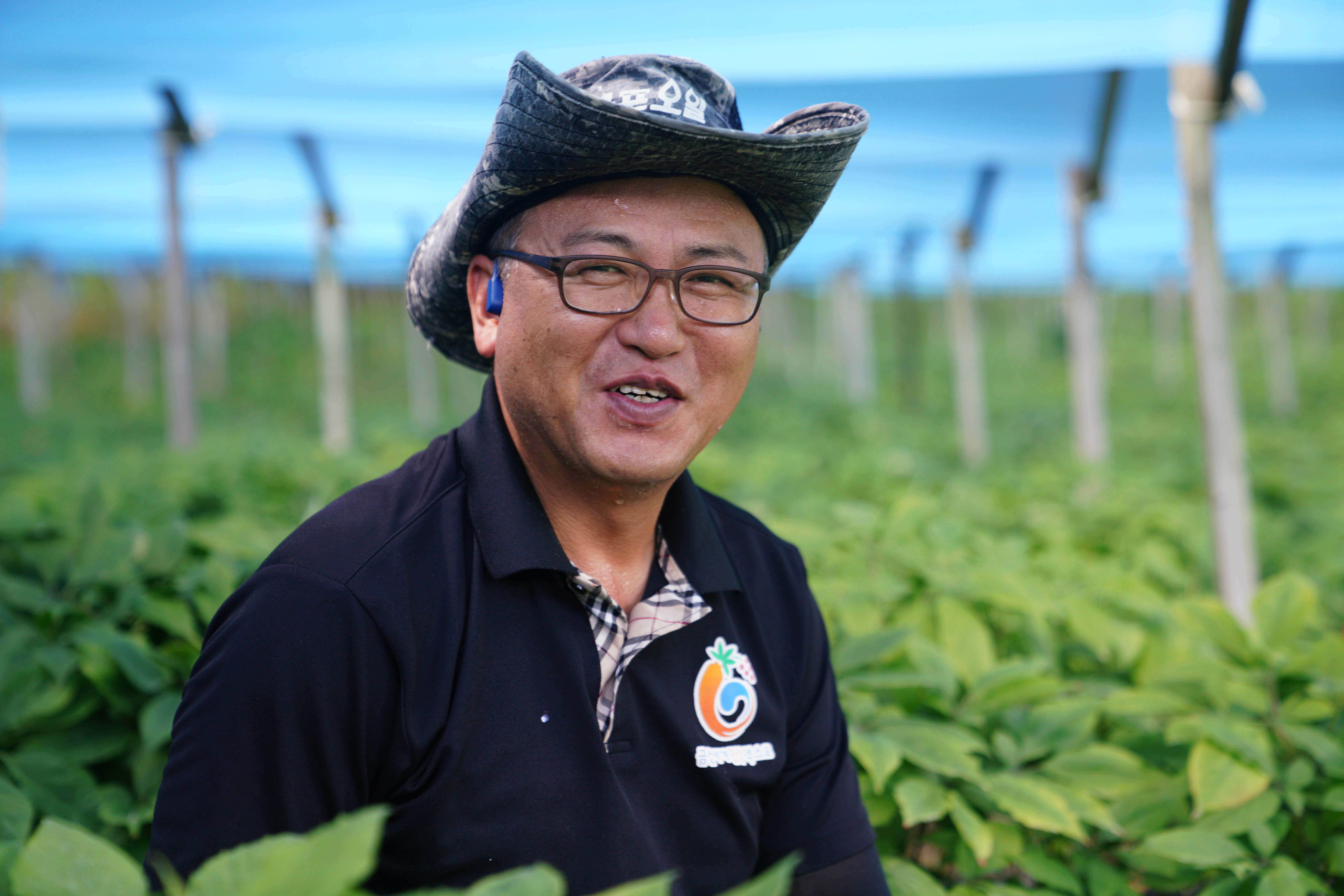 토지홍삼 프로필 이미지